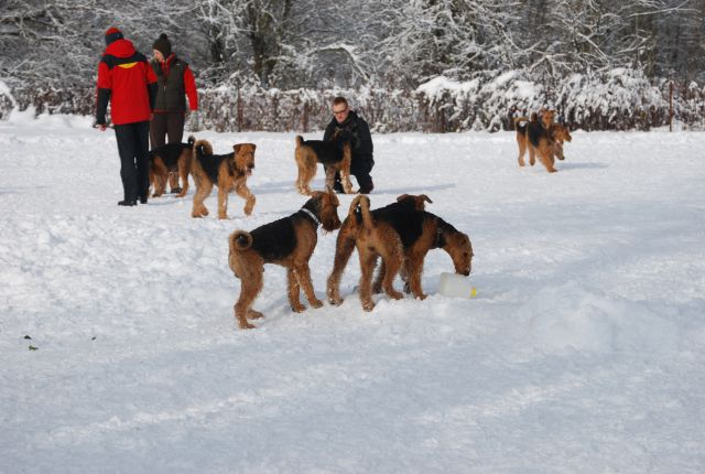 1. AT srečanje, Krim DEC 2010 - foto