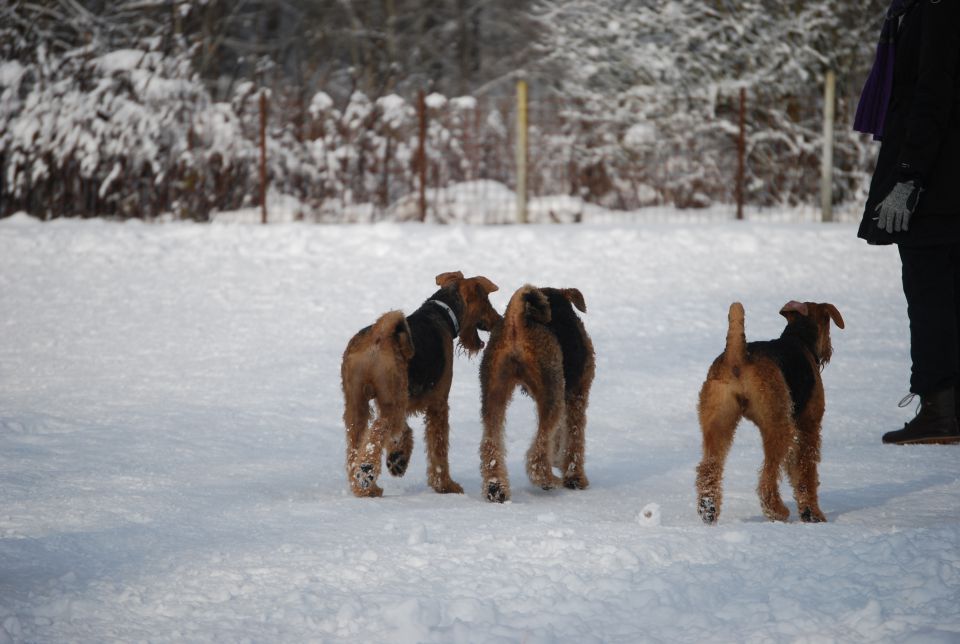 1. AT srečanje, Krim DEC 2010 - foto povečava