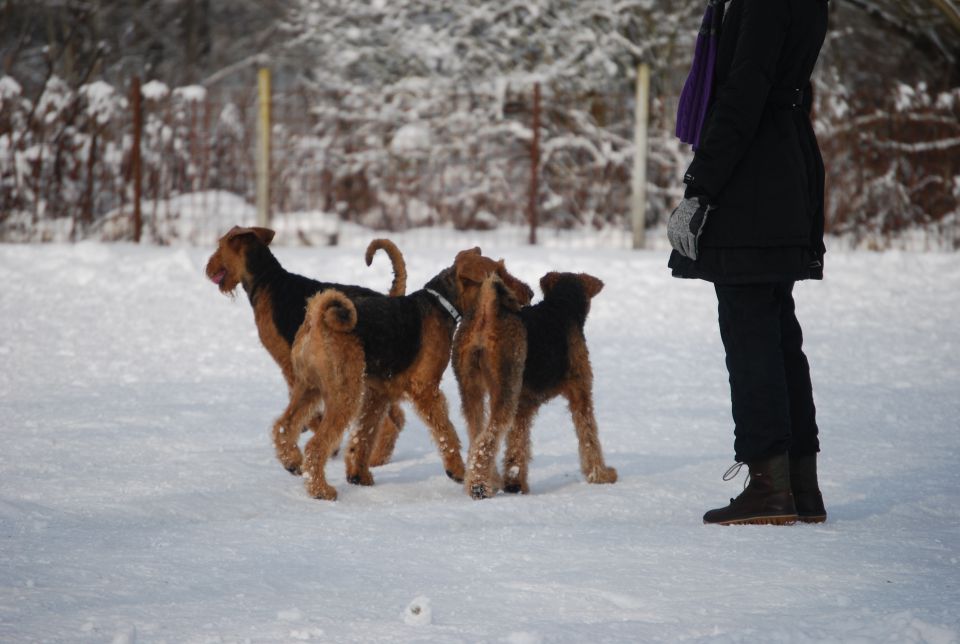 1. AT srečanje, Krim DEC 2010 - foto povečava