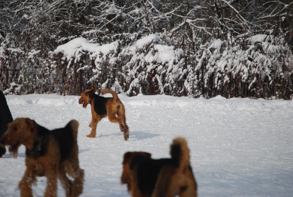 1. AT srečanje, Krim DEC 2010 - foto povečava