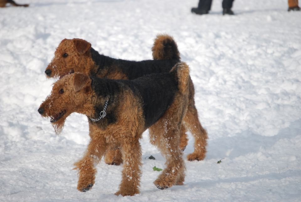 1. AT srečanje, Krim DEC 2010 - foto povečava