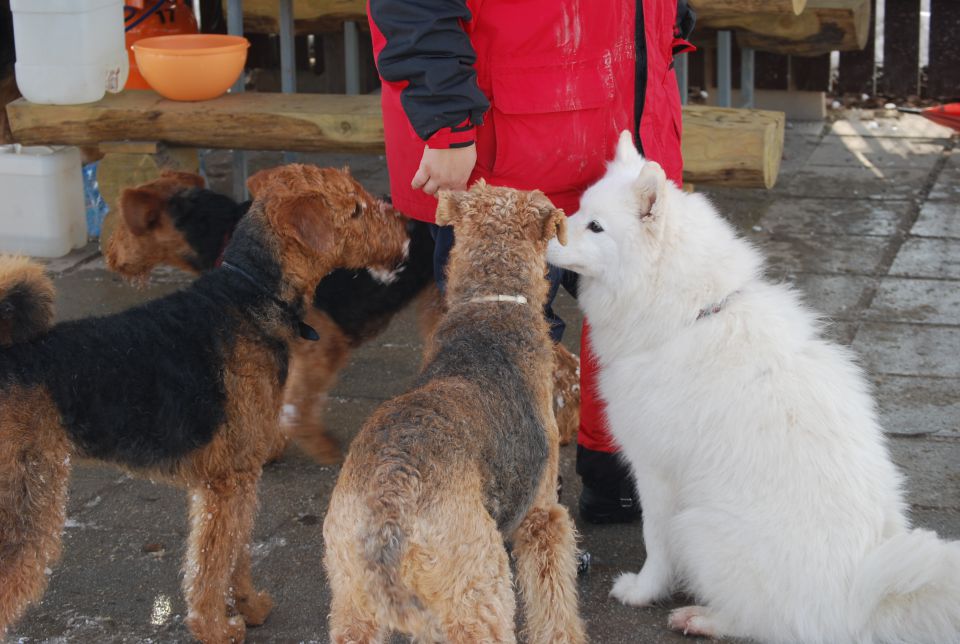 1. AT srečanje, Krim DEC 2010 - foto povečava