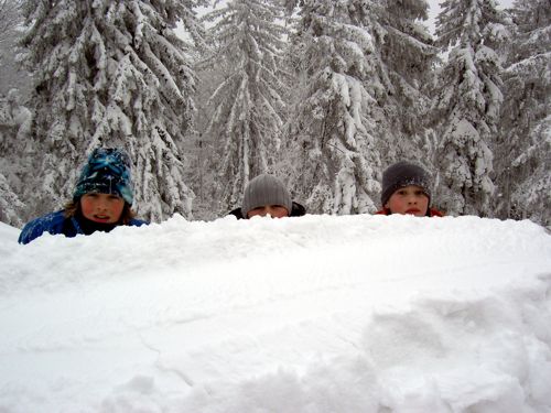 Zimska šola v naravi - foto