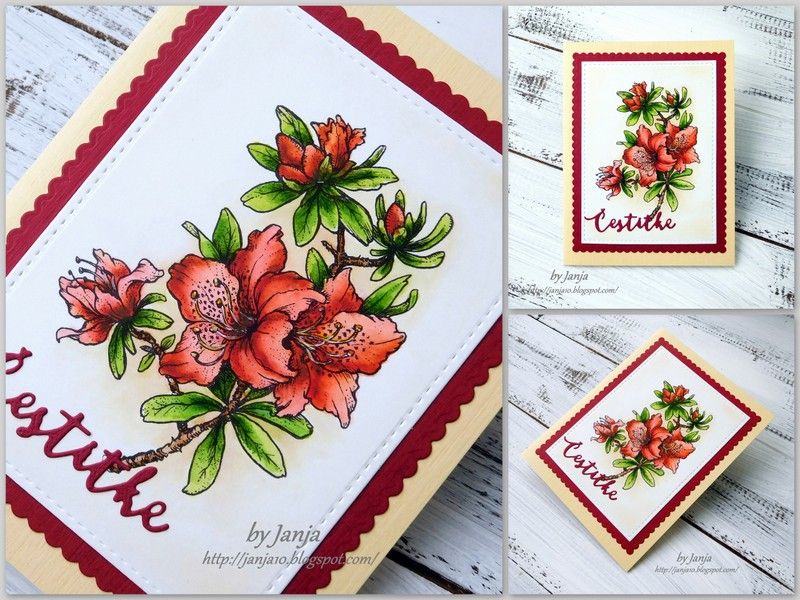 Voščilnice s cvetjem - foto povečava