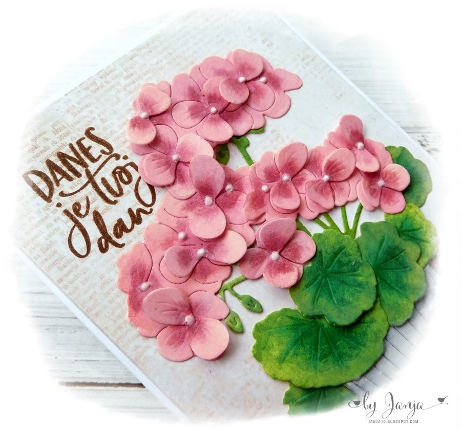 Voščilnice s cvetjem - foto povečava