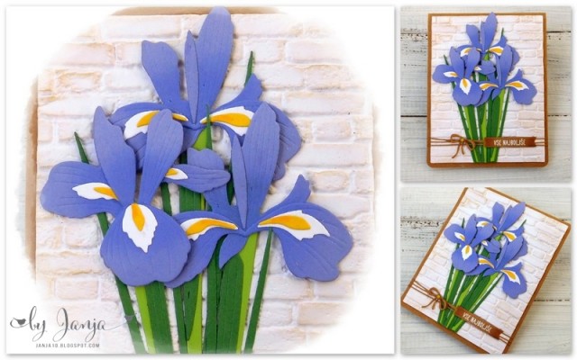 Voščilnice s cvetjem - foto