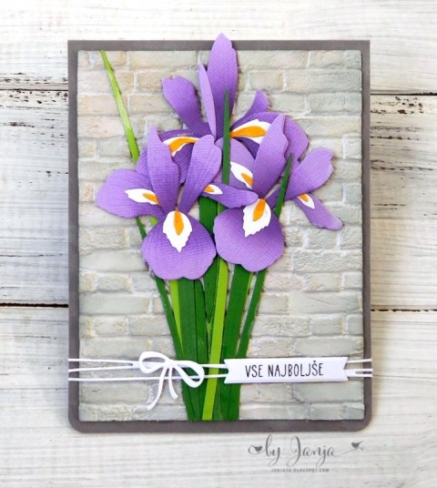 Voščilnice s cvetjem - foto