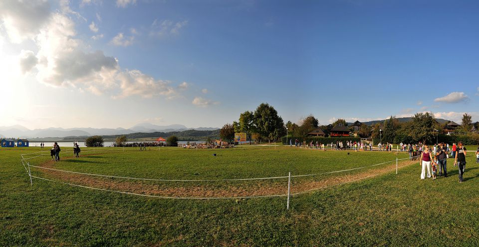 22.PIKIN FESTIVAL VELENJE - foto povečava