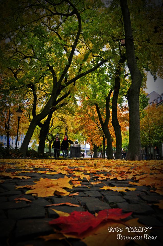 Dvodnevni izlet Budimpešta in Bratislava 2011 - foto povečava