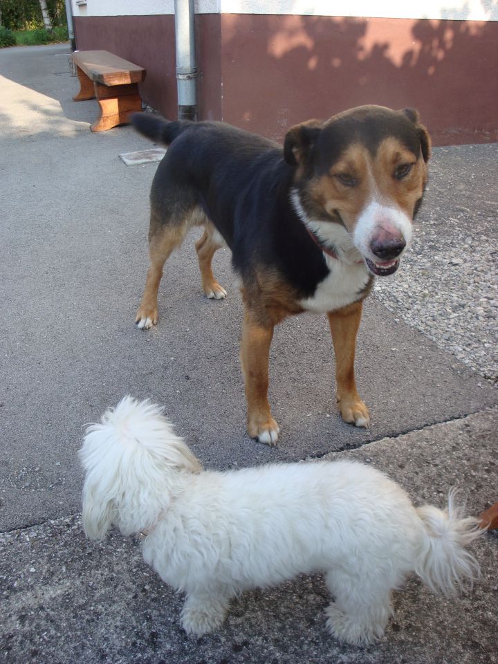 Rambo and Tia