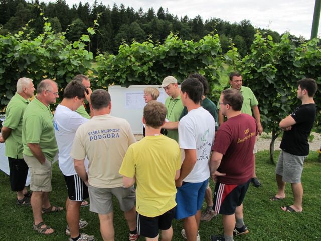 Vaške igre 2010-Šmartno ob Paki - foto povečava