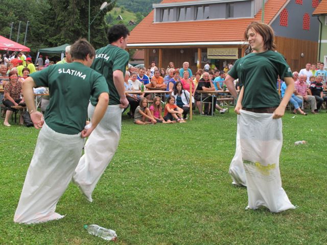 Vaške igre 2010-Šmartno ob Paki - foto povečava