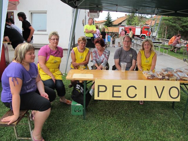 Vaške igre 2010-Šmartno ob Paki - foto povečava
