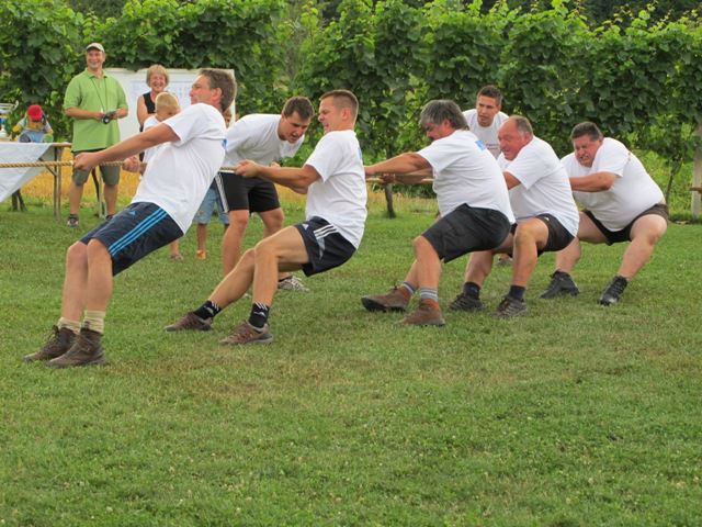 Vaške igre 2010-Šmartno ob Paki - foto