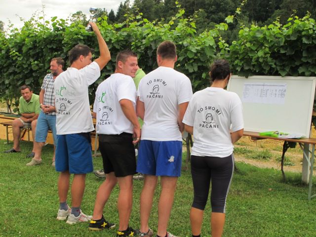 Vaške igre 2010-Šmartno ob Paki - foto povečava