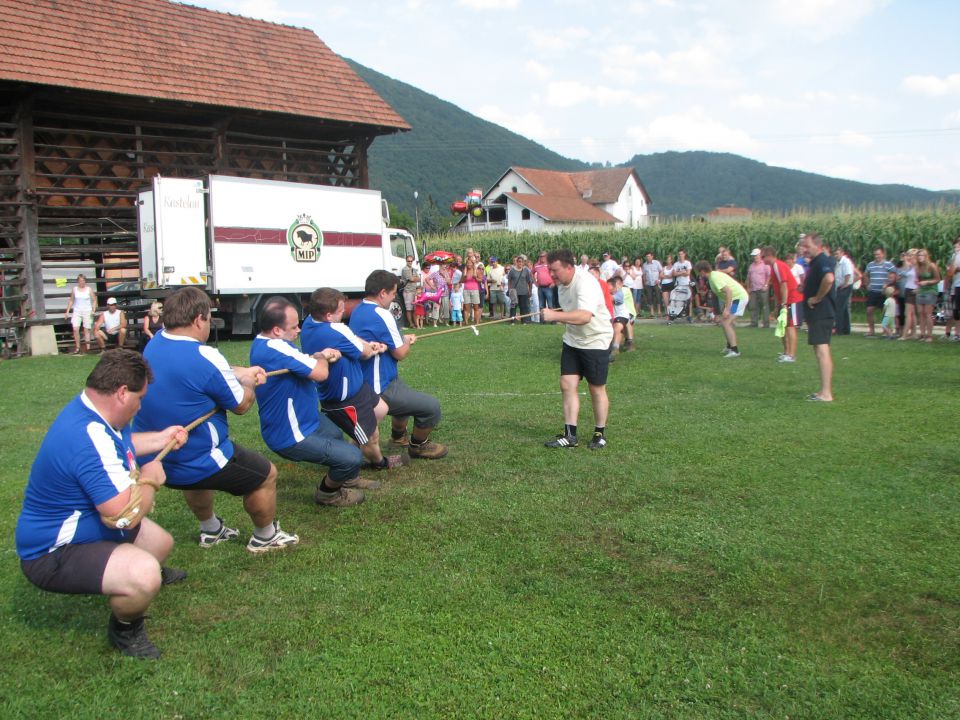 Vaške igre 2011 - Šmartno ob Paki - foto povečava