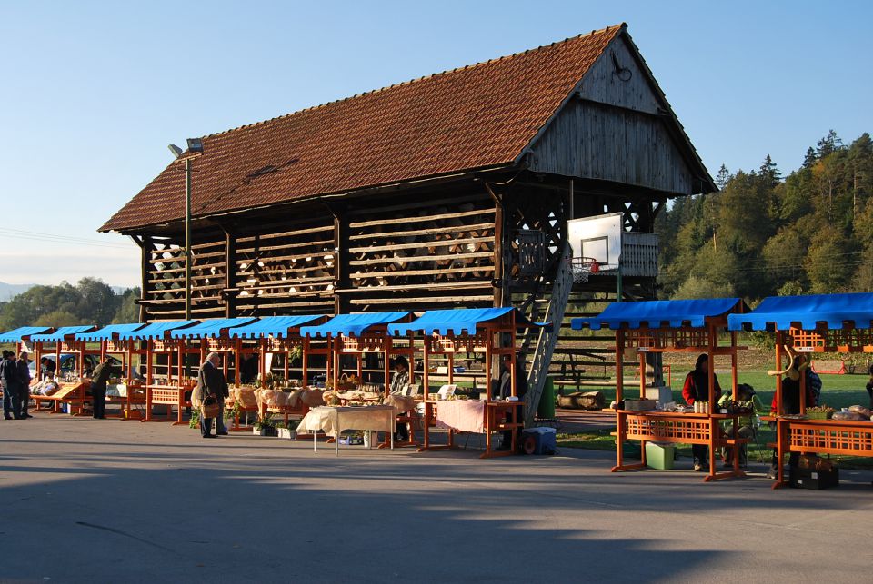 Potem je sonce posijalo v hladno jutro in oživilo dan