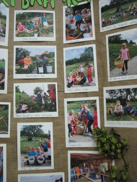 Razstava o hmeljarstvu 15.9.2013 - foto povečava