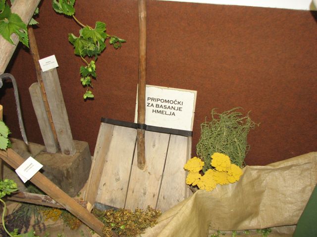 Razstava o hmeljarstvu 15.9.2013 - foto povečava
