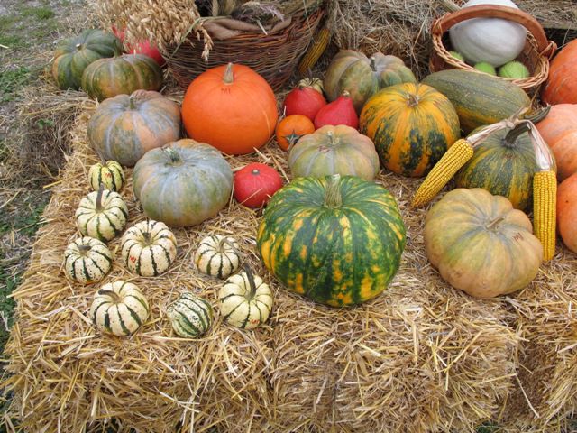 10. bučarija 5.10.2013 - foto