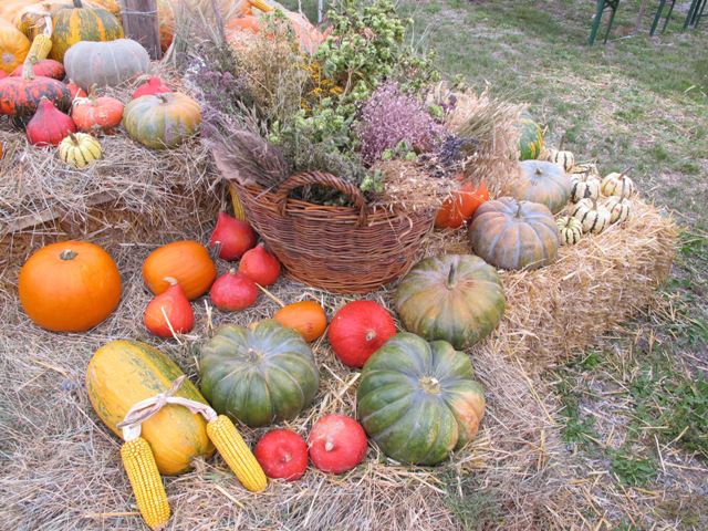 10. bučarija 5.10.2013 - foto