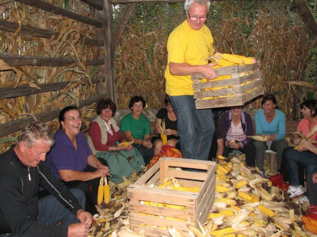 LIČKANJE KORUZE OZIROMA »KOŽUHARIJA« - foto povečava
