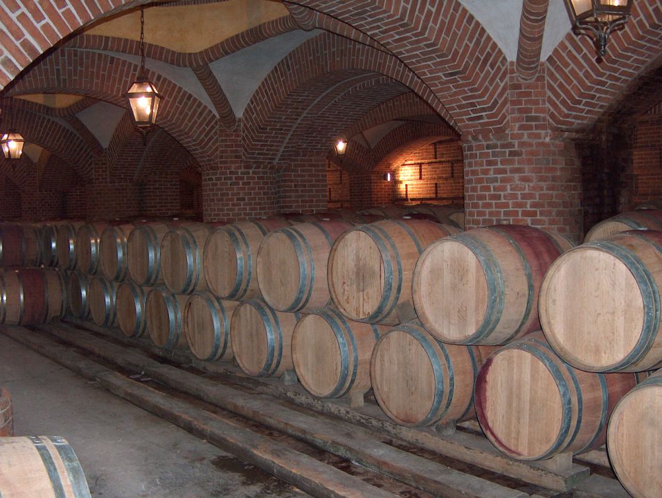 Podere Rocche - degustacija vina