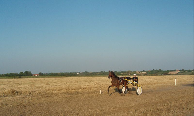 Revenge - foto povečava