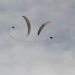 paragliding Acro Villach