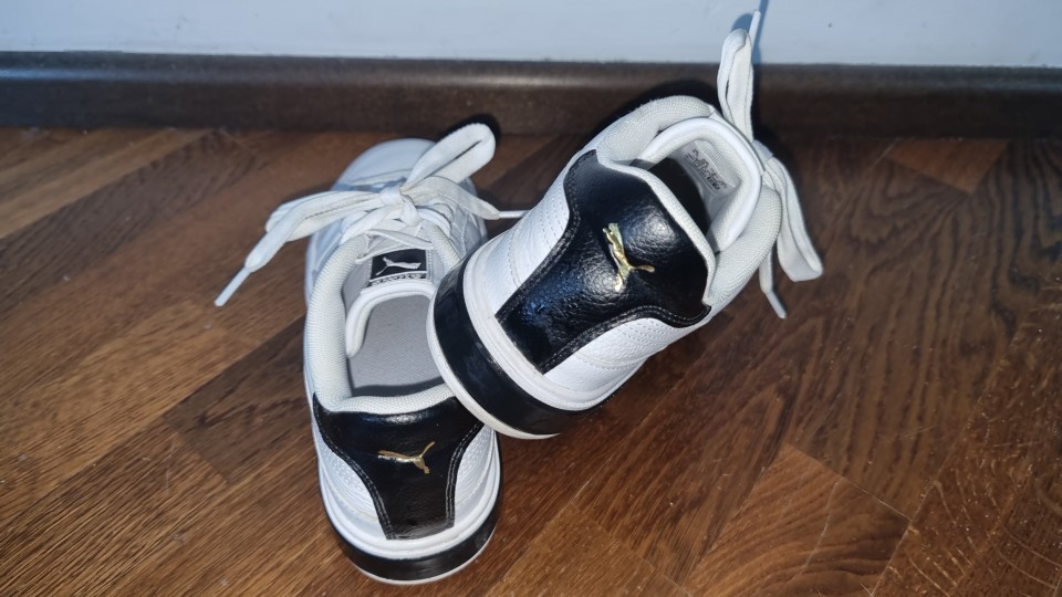 Prodano/podarjeno - foto povečava