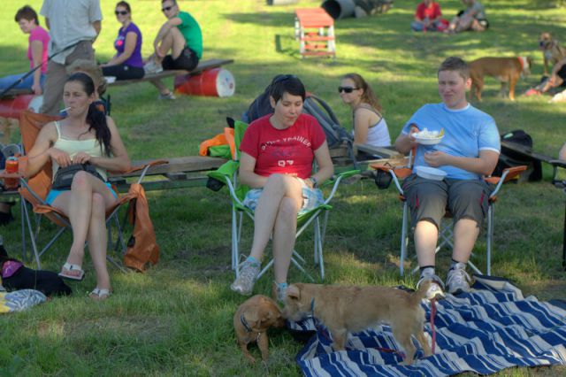 Pasji piknik junij 2012 - foto
