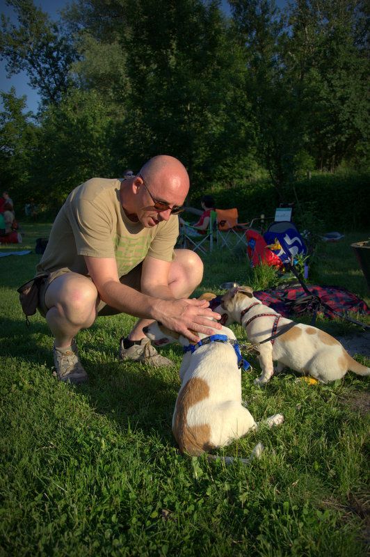 Pasji piknik junij 2012 - foto povečava