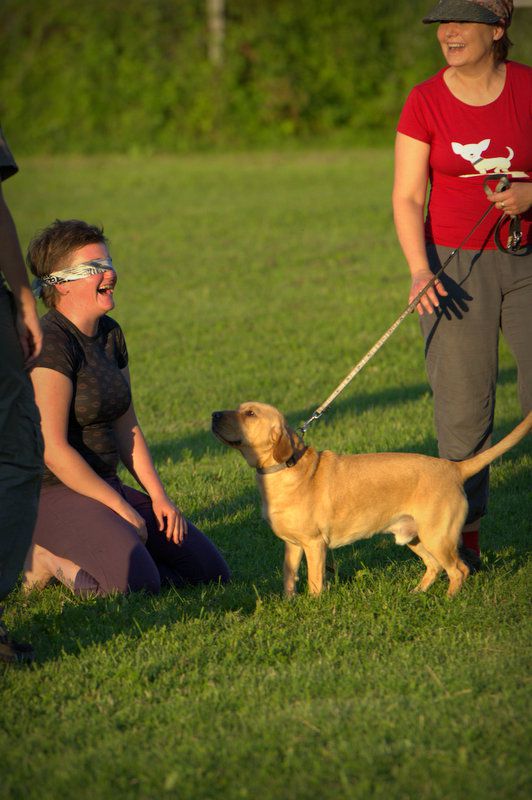 Pasji piknik junij 2012 - foto povečava