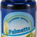 Palmetto - 