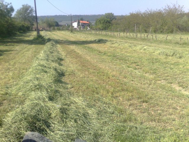 Košnja in baliranje - foto