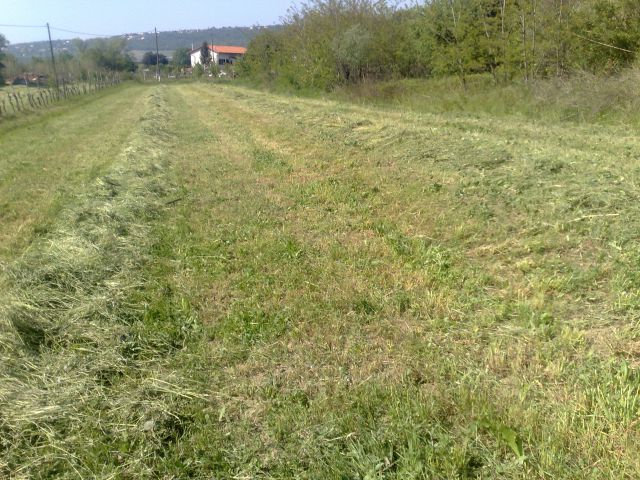 Košnja in baliranje - foto