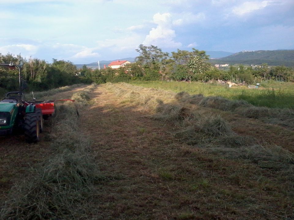 Nekaj prve košnje - foto povečava