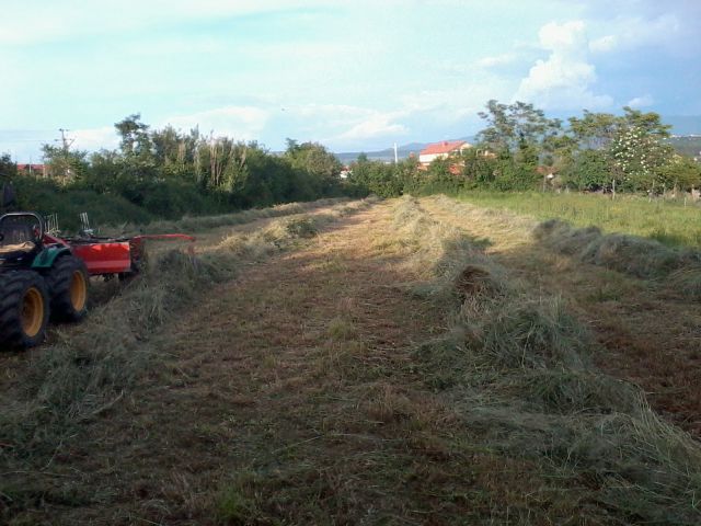 Nekaj prve košnje - foto