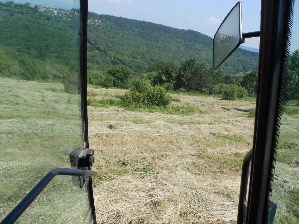 še nekaj prve košnje - foto povečava