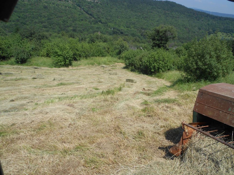 še nekaj prve košnje - foto povečava