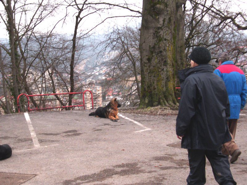 Mala šola - jesen/pomlad (2010/2011) - foto povečava