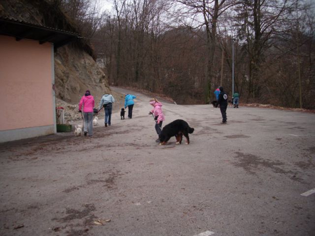 Mala šola - jesen/pomlad (2010/2011) - foto