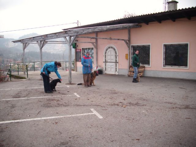 Mala šola - jesen/pomlad (2010/2011) - foto