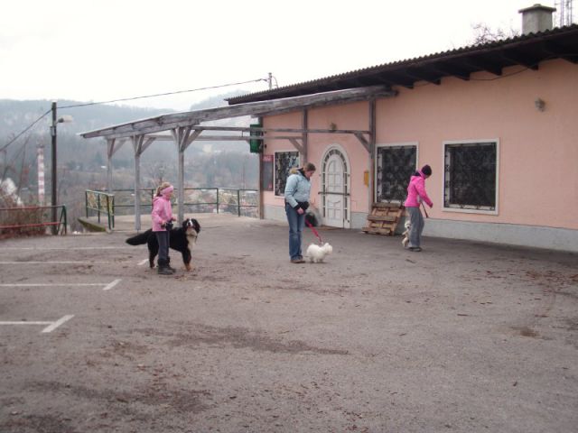 Mala šola - jesen/pomlad (2010/2011) - foto