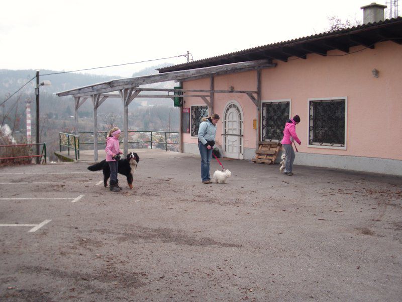 Mala šola - jesen/pomlad (2010/2011) - foto povečava