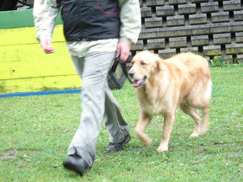 Turnir Šolanih psov, 28.05.2011 (galerija 1) - foto povečava