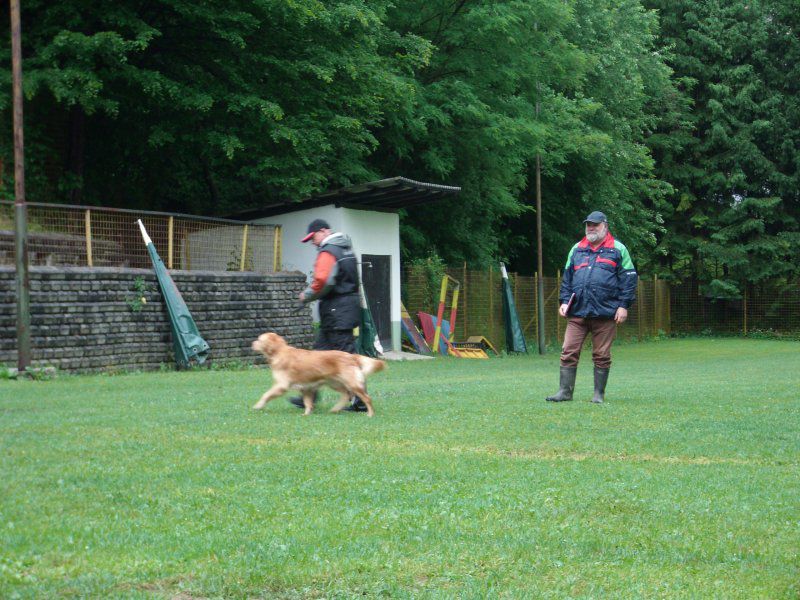 Turnir Šolanih psov, 28.05.2011 (galerija 1) - foto povečava