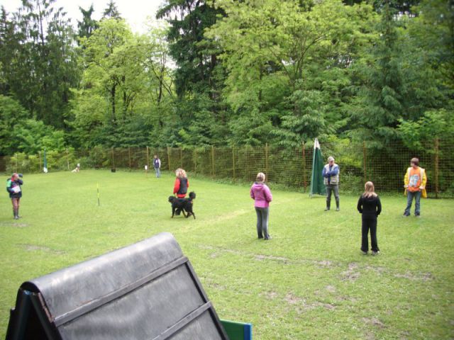 Turnir Šolanih psov, 28.05.2011 (galerija 1) - foto