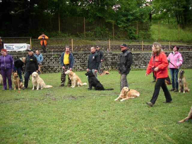 Turnir šolanih psov, 28.05.2011 (galerija 2) - foto