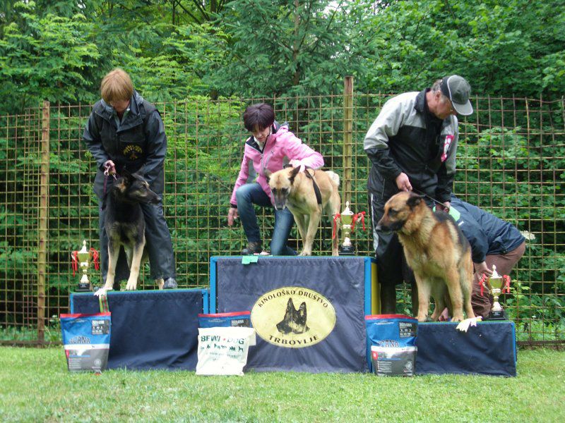 Turnir šolanih psov, 28.05.2011 (galerija 2) - foto povečava